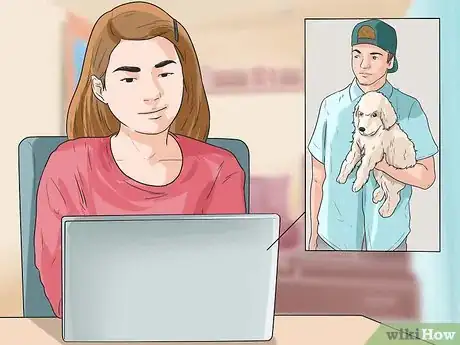 Image titled Care for Shihpoos Step 8