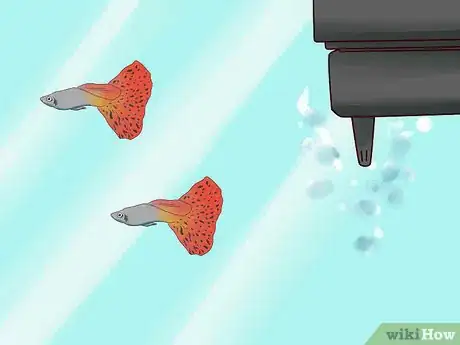 Image titled Maintain Salt Water Aquariums Step 8