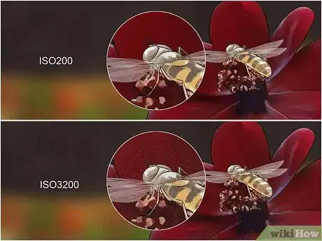 Image titled Photograph Insects Step 12