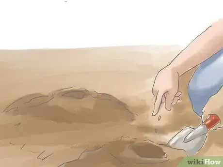 Image titled Grow St John's Wort Step 2