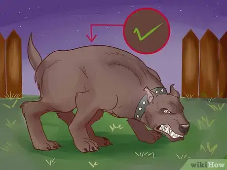 Image titled Find a Good Guard Dog Step 6