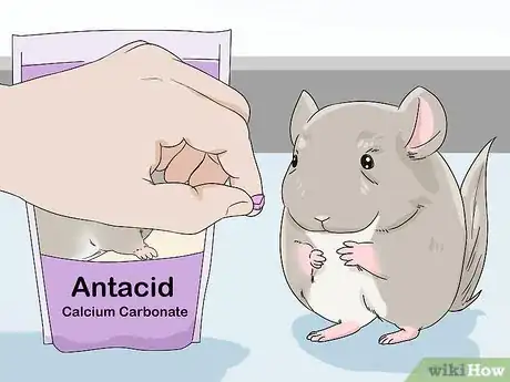Image titled Handle Calcium Deficiency in Chinchillas Step 7