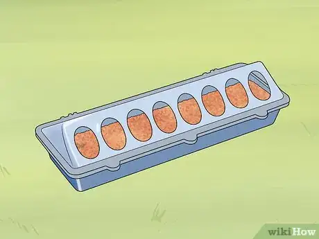 Image titled Feed Chicks Step 2