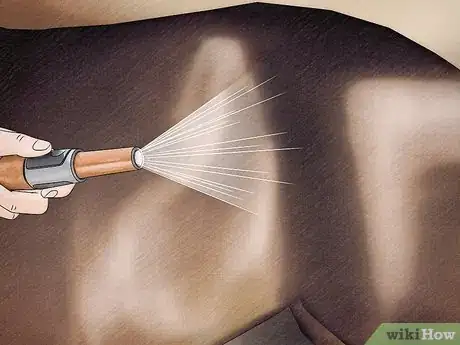Image titled Remove a Tick from a Horse Step 13