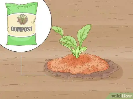 Image titled Start a Garden Step 9