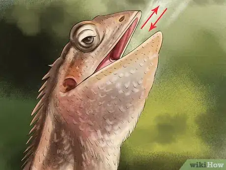 Image titled Diagnose Vitamin a Deficiency in Reptiles Step 8