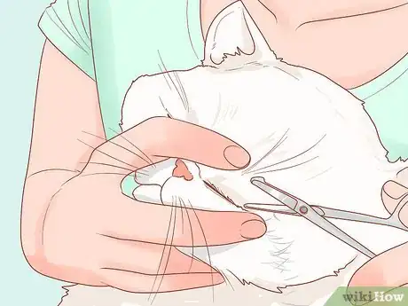 Image titled Be Responsible when You Have a Cat Step 8