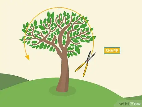 Image titled Prune Brugmansia Step 07