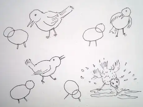 Image titled Birdsfromovals