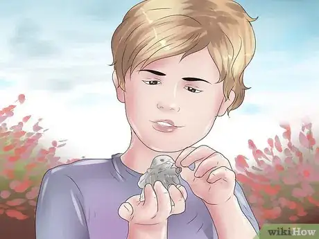 Image titled 1447355 11