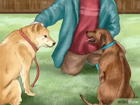 Image titled Make Your Dog Get Along With Other Dogs Step 13