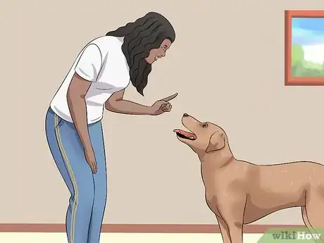 Image titled Tame a Dog Step 18
