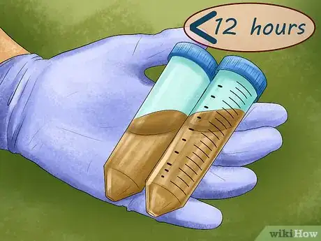 Image titled Prepare for Your Dog's Annual Vet Exam Step 5