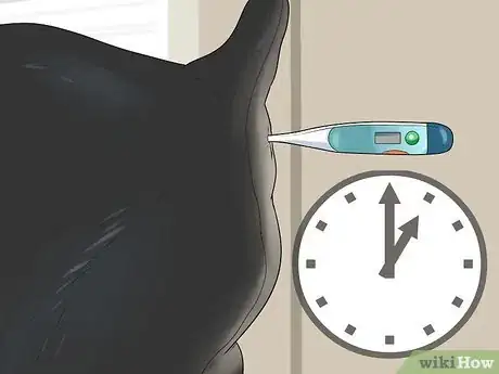 Image titled Check a Dog for a Fever Step 6