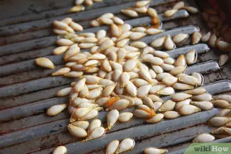 Image titled Cook a Pumpkin Step 5