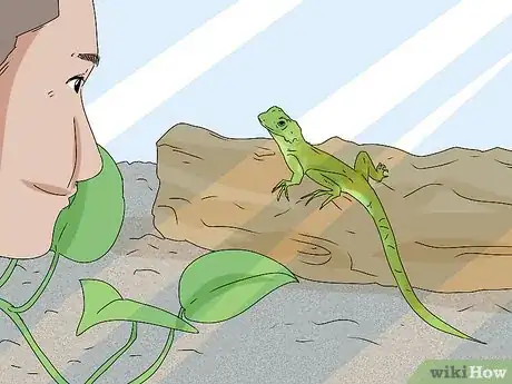 Image titled Give a Lizard a Bath Step 18