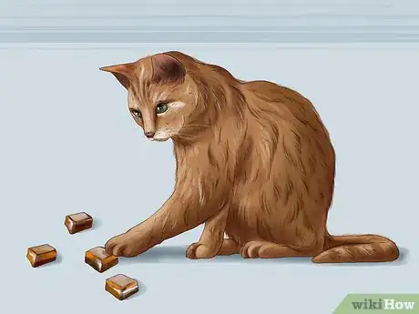 Image titled Protect Your Cat in Summer Step 2