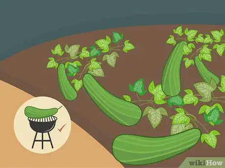 Image titled Harvest Zucchini Step 11