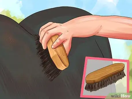Image titled Assemble a Horse Grooming Kit Step 6