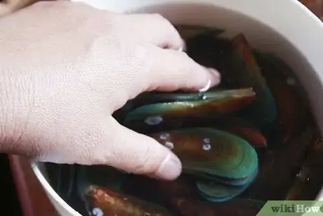 Image titled Store Seafood Step 10