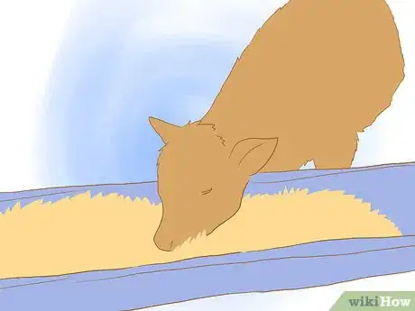 Image titled Wean Cattle Step 3