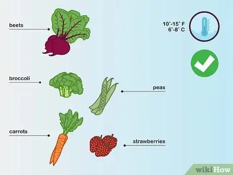 Image titled Choose Vegetables to Grow Step 02