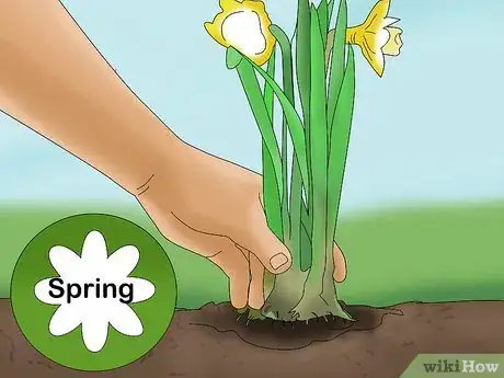 Image titled Plant a Low Water Garden Step 5