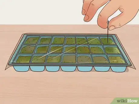 Image titled Grow Flowers from Seed Step 5