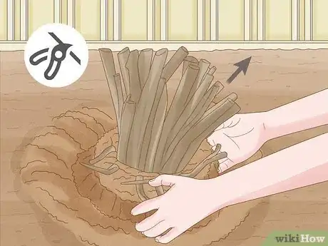 Image titled Remove Overgrown Shrubs Step 6