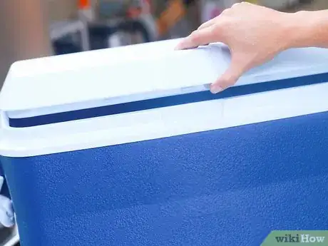 Image titled Freeze Fish Step 1