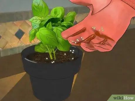 Image titled Grow an Indoor Herb Garden Step 25