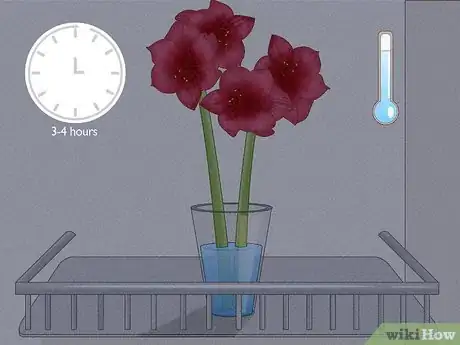 Image titled Cut Amaryllis Flower Step 5