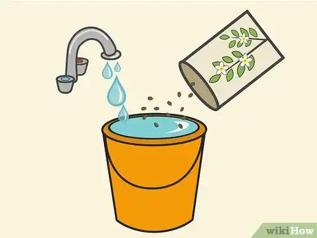 Image titled Plant Night Blooming Jasmine Step 01