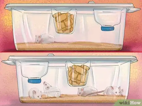 Image titled Diagnose Mousepox Step 3