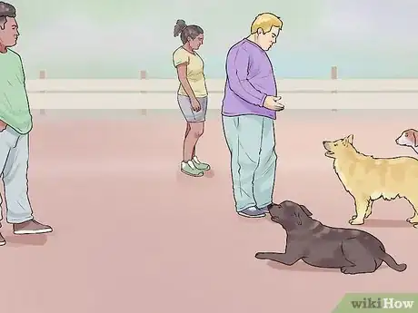 Image titled Get Your Dog to Follow You Step 13