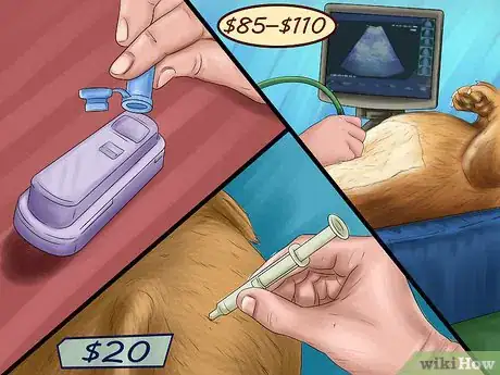 Image titled Prepare for Your Dog's Annual Vet Exam Step 4