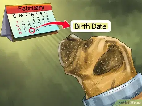 Image titled Find Veterinary Insurance for Older Dogs Step 1