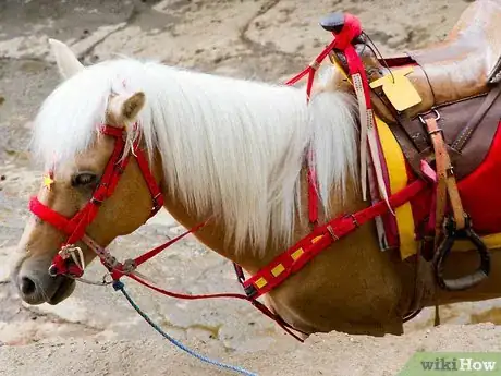 Image titled Collect Breyer Model Horses Step 3