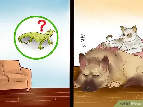 Image titled Catch a Lizard in the House Step 3