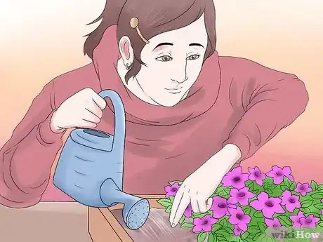 Image titled Grow Petunias Step 17