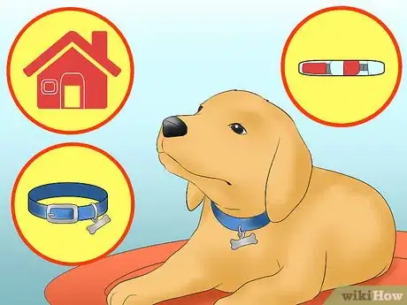 Image titled Travel by Car with a Fearful Dog Step 9