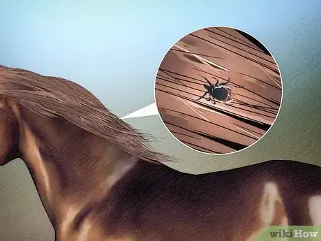 Image titled Remove a Tick from a Horse Step 15