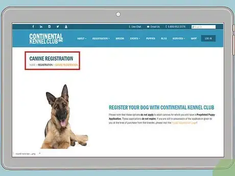 Image titled Register a Dog with the CKC Step 5