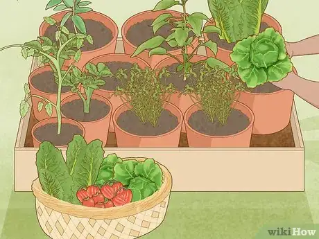 Image titled Garden During Coronavirus Step 21