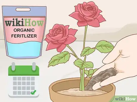 Image titled Grow Long Stem Roses at Home Step 17