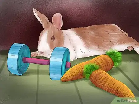 Image titled Choose a Rabbit Cage Step 11