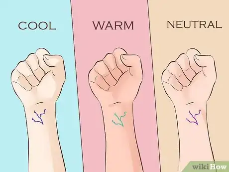 Image titled Choose a Foundation for Dark Skin Tones Step 2