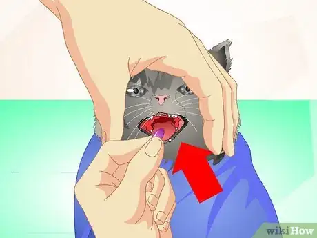 Image titled Deliver Oral Medication to Cats Step 13