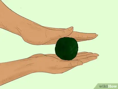 Image titled Clean an Aquatic Moss Ball Step 3