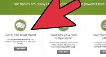 Create an Email Survey